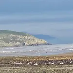 Beachfront In *