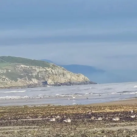 Beachfront In *