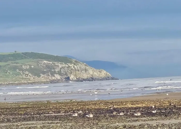 Beachfront In *